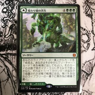 変わり樹の共生