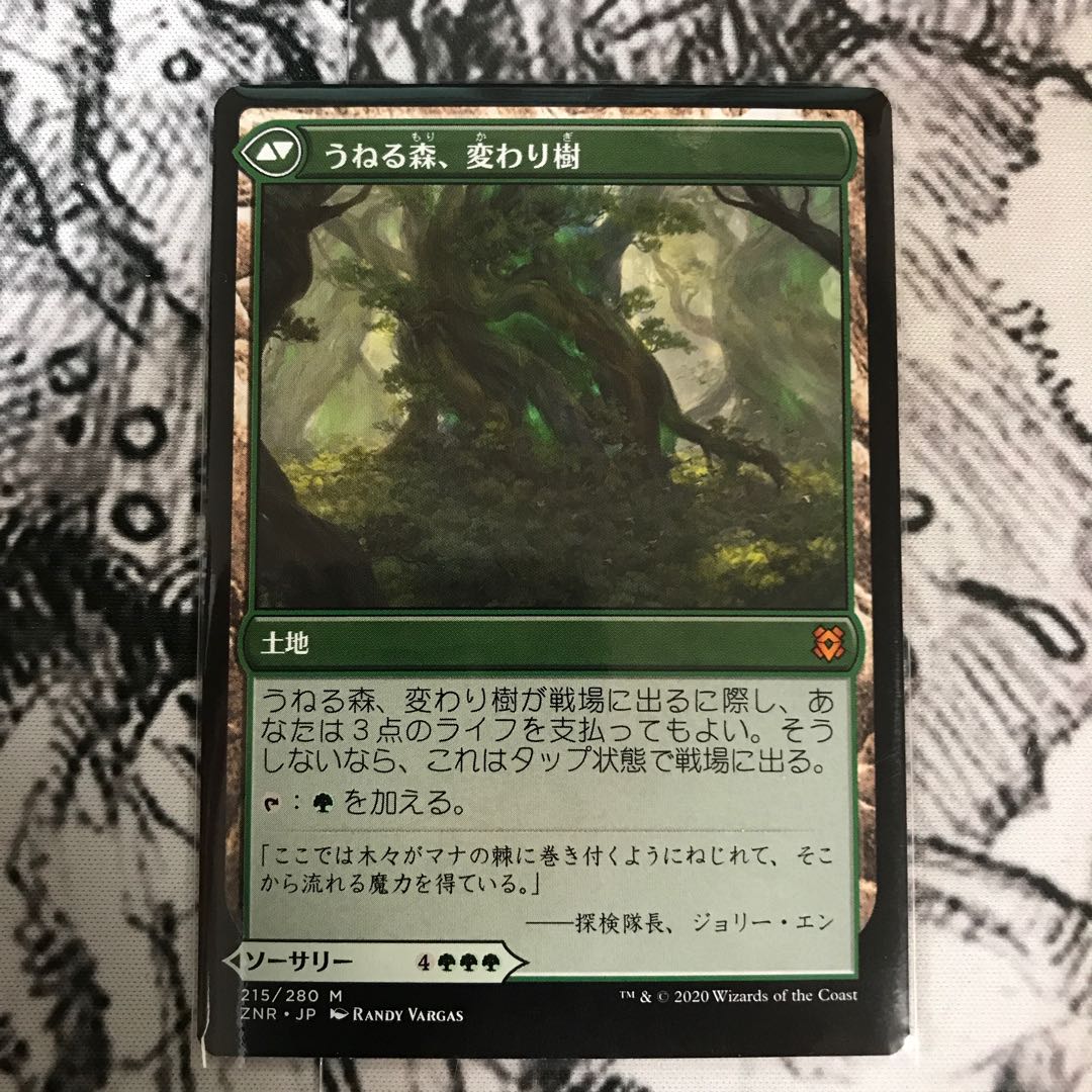 変わり樹の共生