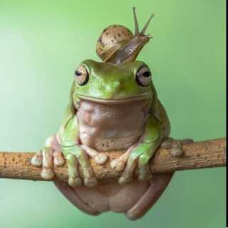 くりおんつ様専用