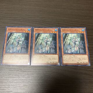 神樹のパラディオン ノーマル3枚セット