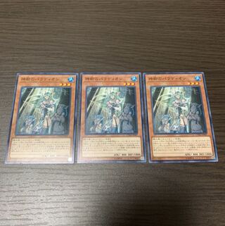 神樹のパラディオン ノーマル3枚セット