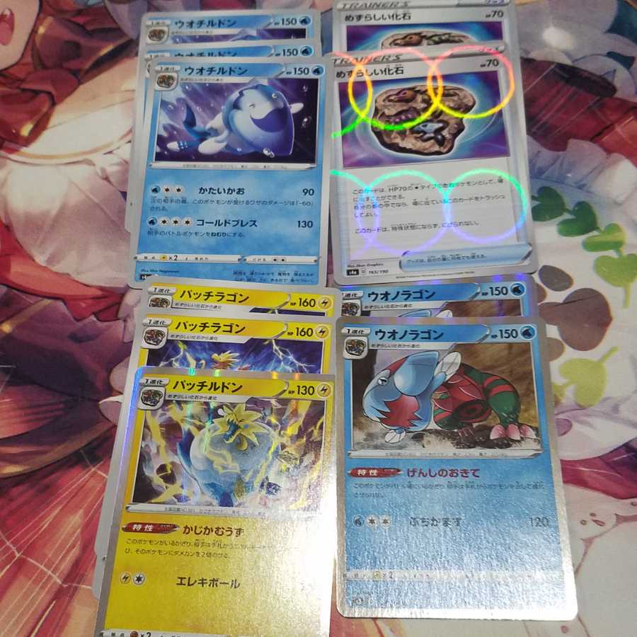 めずらしい化石　セット