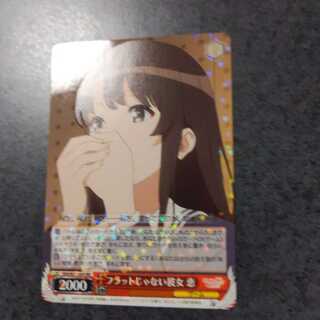 She who is not flat, Megumi