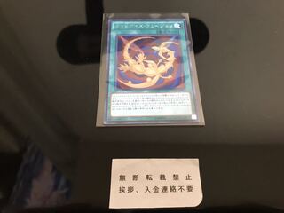 オッドアイズ・フュージョン シークレット