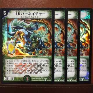 セット割引　JKパーネイチャー