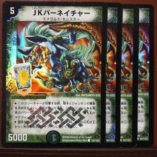 セット割引　JKパーネイチャー