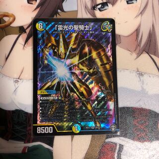 「雷光の聖騎士」