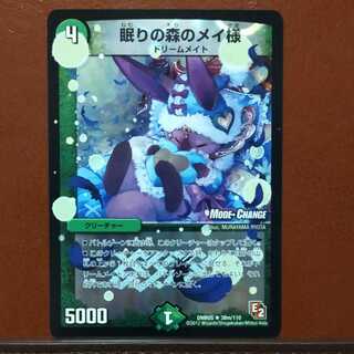 セット割引　眠りの森のメイ様