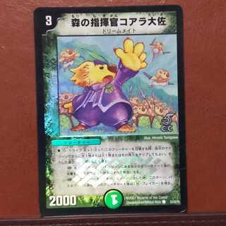 セット割引　森の指揮官コアラ大佐