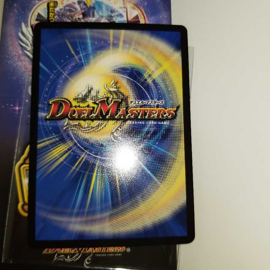 そそカス さん専用