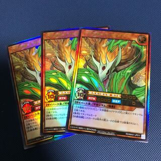 天帝龍樹ユグドラゴ　3枚