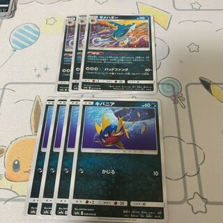 キバニア サメハダー