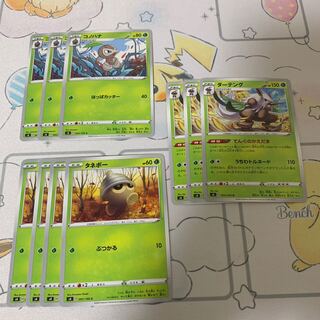 タネボー コノハナ ダーテング