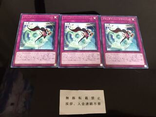 クロノダイバー・フライバック ３枚 セット