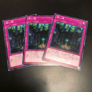 迷い風 ノーマル ３枚