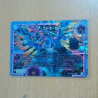 アストラゼーレ シク