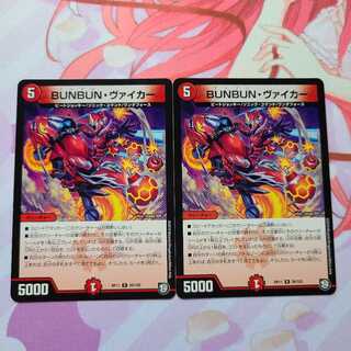 BUNBUN・ヴァイカー 2枚セット