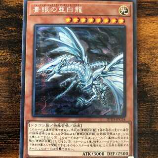 青眼の亜白龍