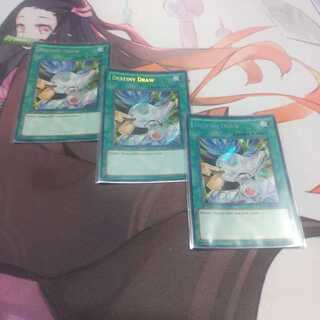 英語　デステニードロー　シークレット　RYMP