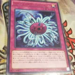 バージェストマ・ディノミスクス 字レア