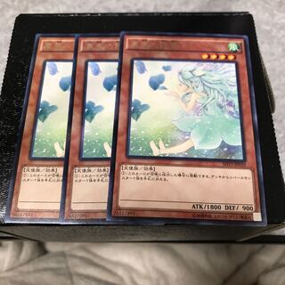 裏風の精霊 レア3枚