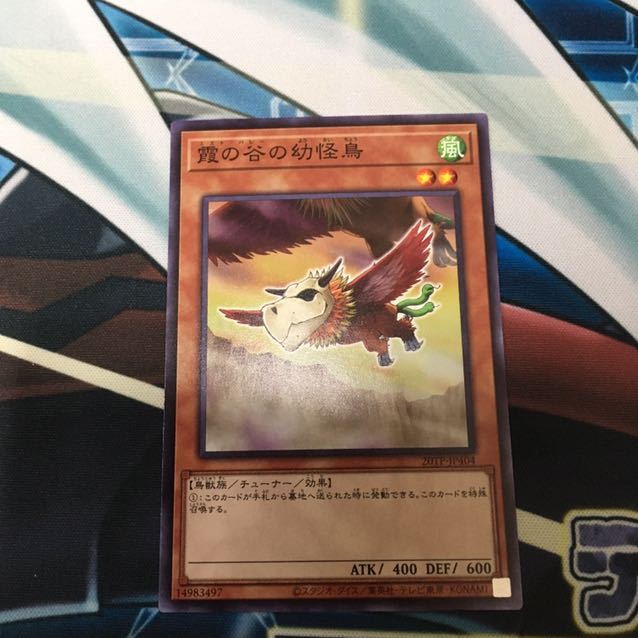 霞の谷の幼怪鳥 ノーマル