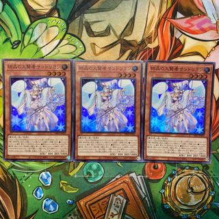 結晶の大賢者サンドリヨン