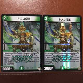 セット割引　キノコ将軍