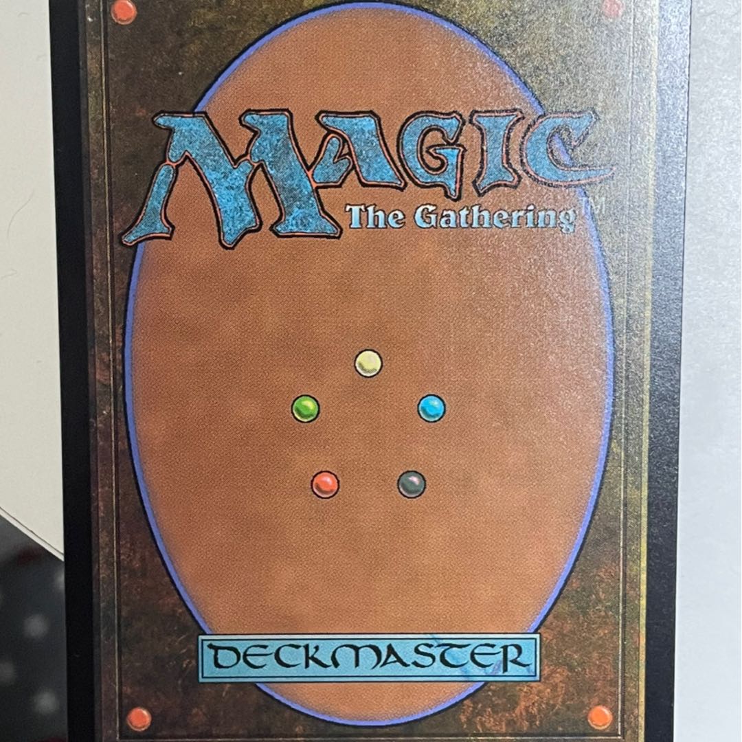 戦慄衆の将軍、リリアナ　願いのフェイ　神秘の論争　PWC