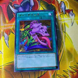 遊戯王 強欲で貪欲な壺　シークレット