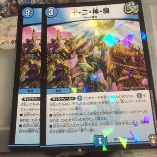 十・二・神・騎 2枚セット