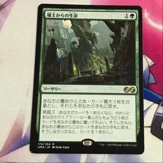 壌土からの生命