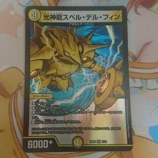 スペル・デル・フィン（スペルデルフィン）