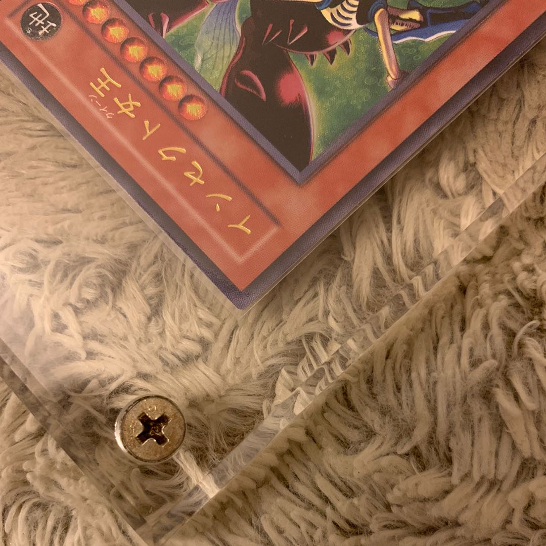 No.105 良品 インセクト女王 レリーフ DL4-136