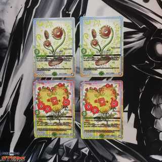 ワイラビ　アネモ