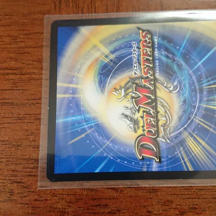 闘争類拳嘩目 ステゴロ・カイザー|お清めシャラップ