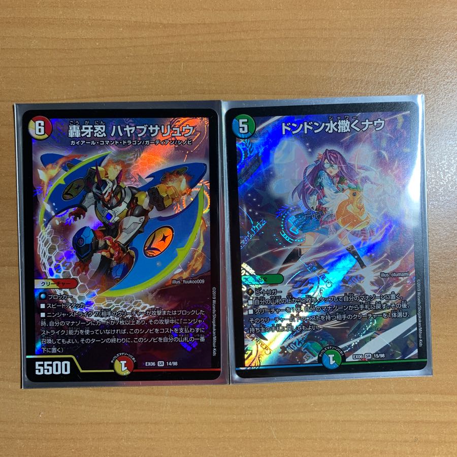 ドンドン水撒くナウ、ハヤブサリュウ