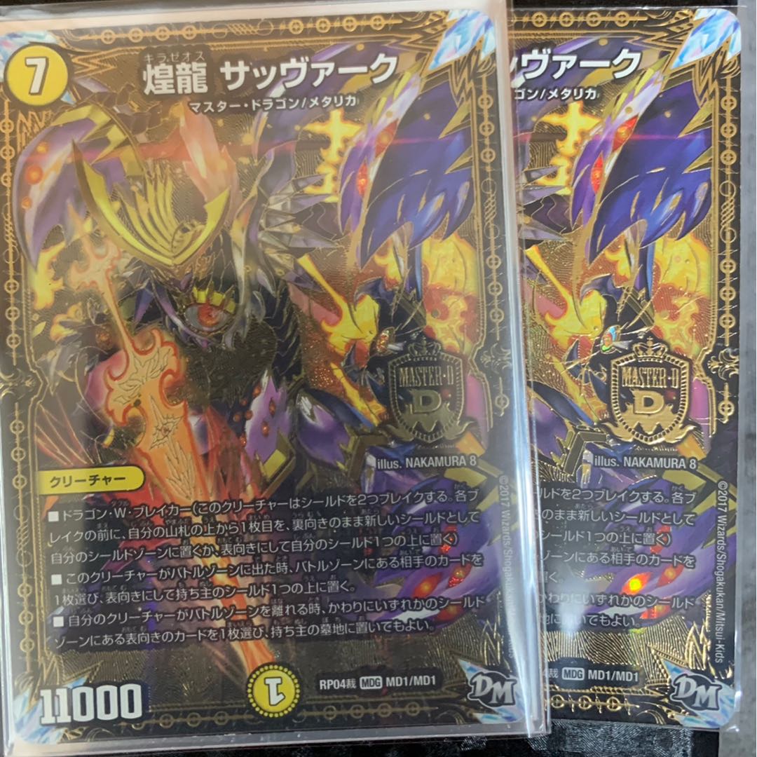 煌龍 サッヴァーク