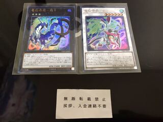 電脳堺獣 鷲々 電脳堺龍 龍々