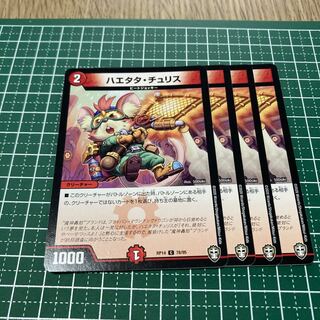 ハエタタ・チュリス　4枚