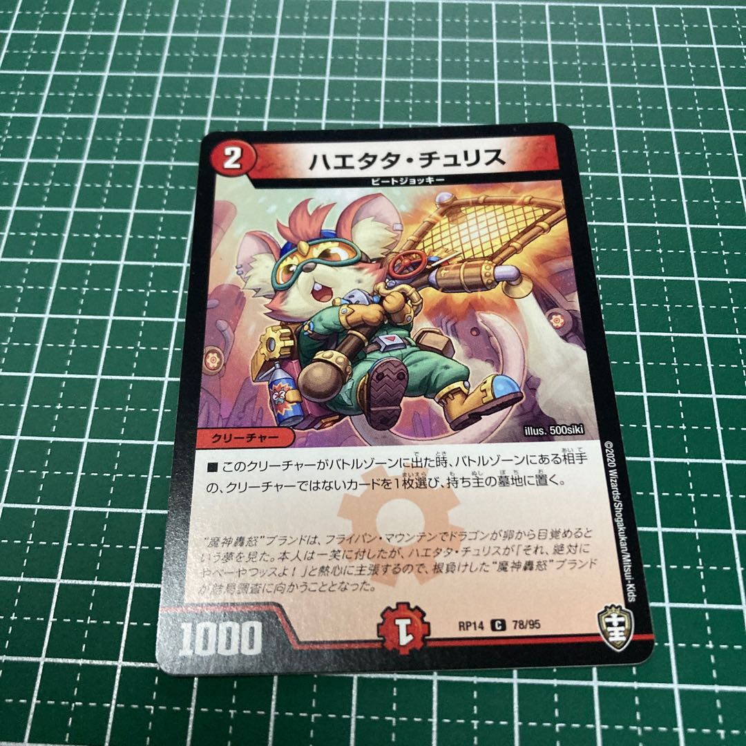 ハエタタ・チュリス　4枚