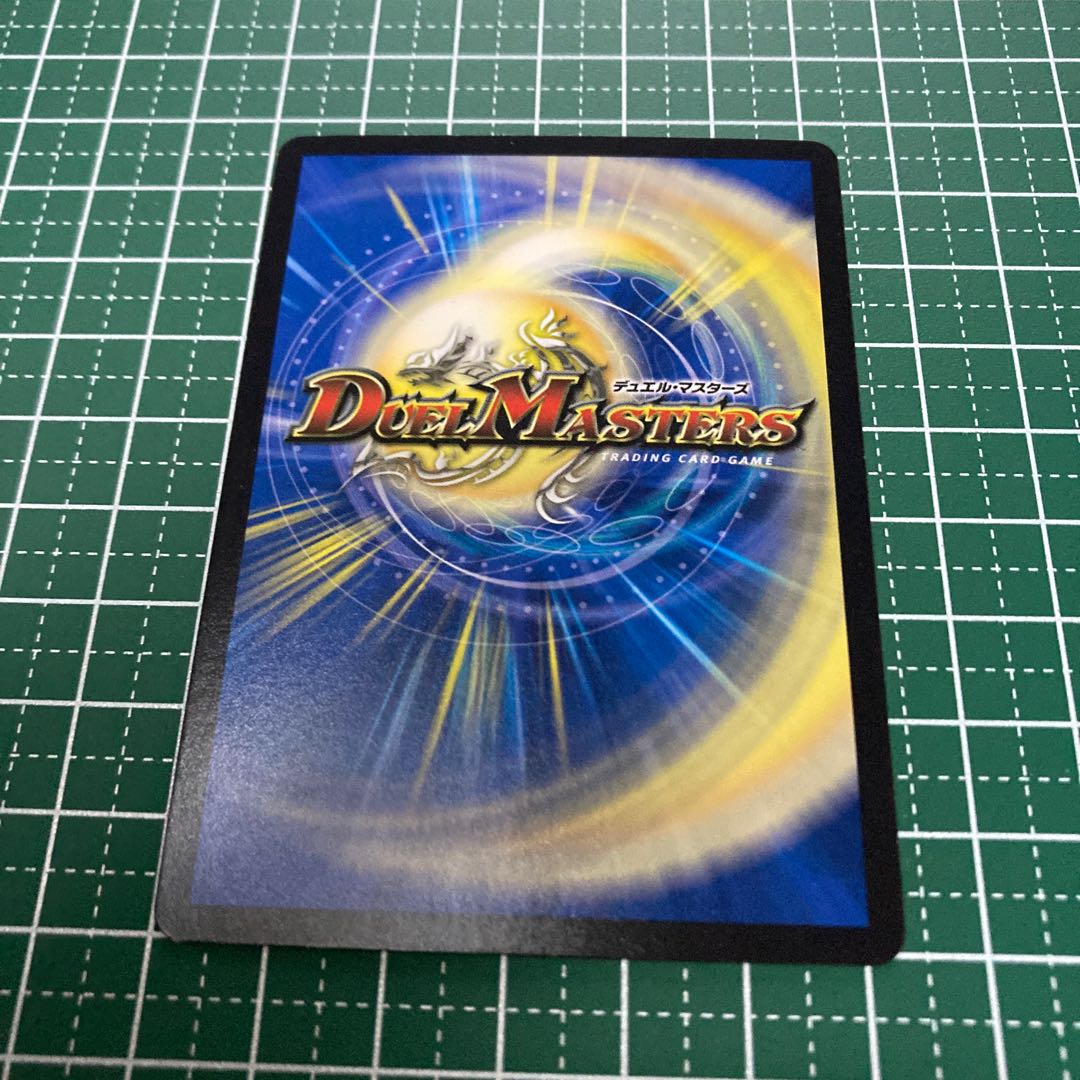 ハエタタ・チュリス　4枚