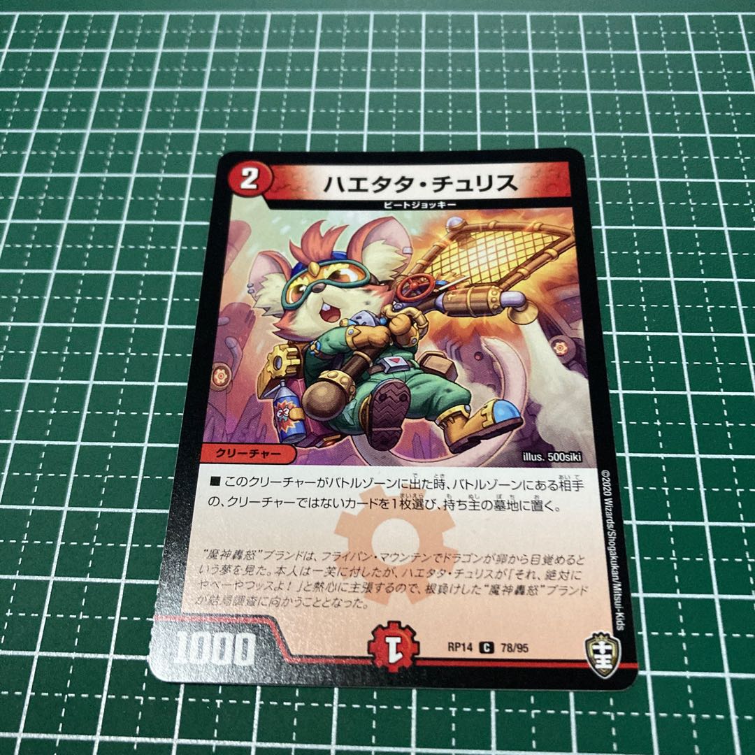 ハエタタ・チュリス　4枚