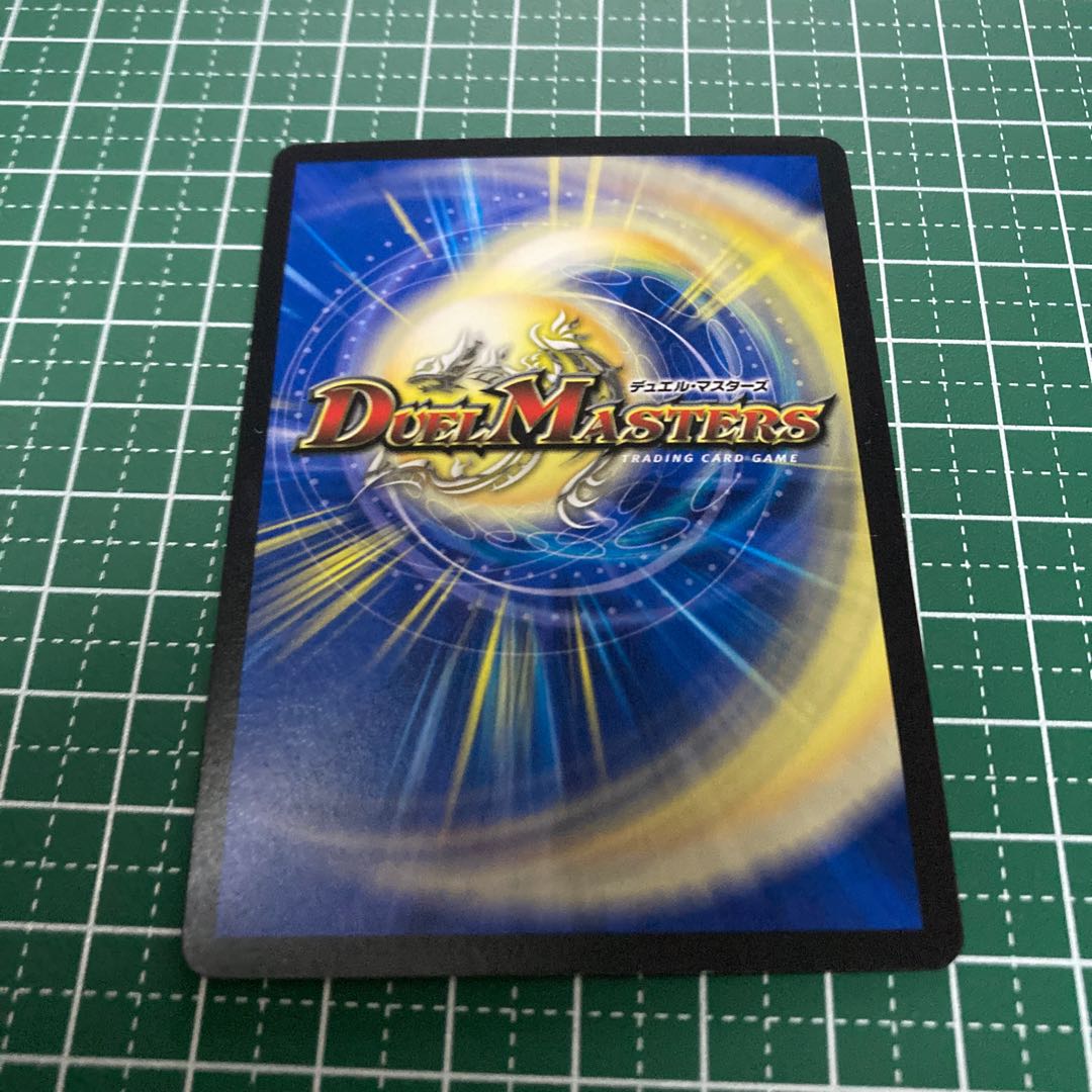 ハエタタ・チュリス　4枚