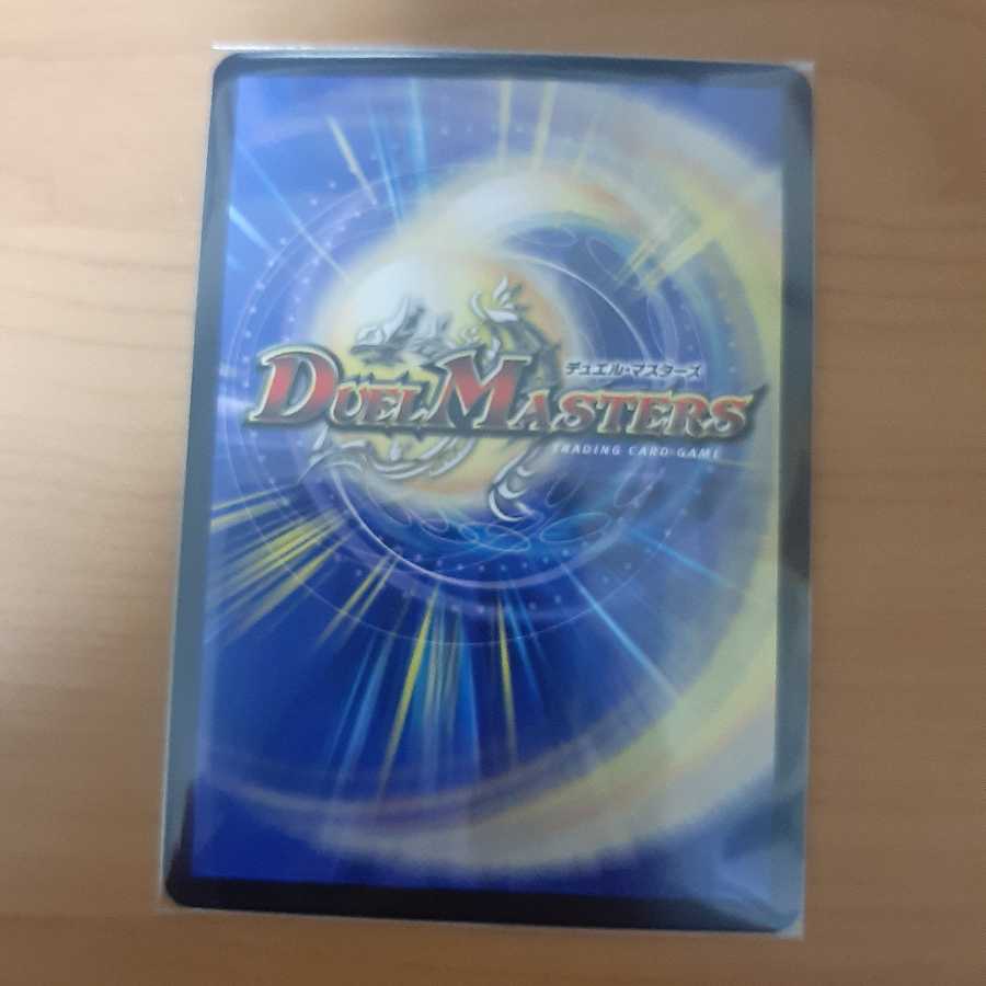 水上第九院 シャコガイル