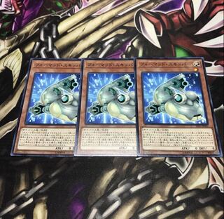 フォーマッド・スキッパー ノーマル