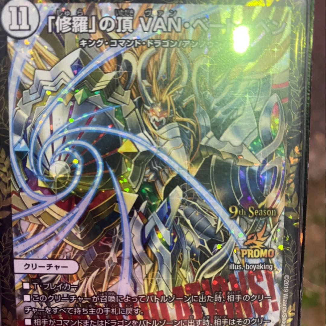 (値下げ中！！最安値。おまけ付き)「修羅」の頂 VAN・ベートーベン