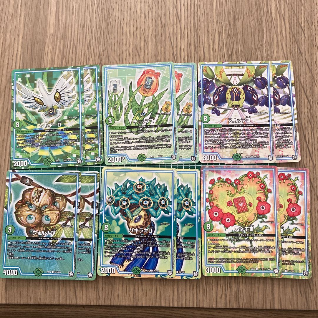 自然GRセット スカップ ウォルナ シャギー チュップ パキラキ アネモ