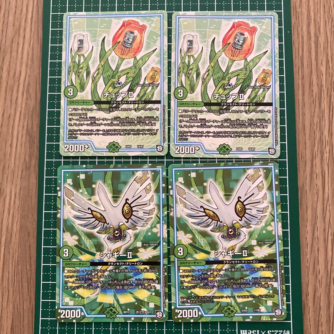 自然GRセット スカップ ウォルナ シャギー チュップ パキラキ アネモ