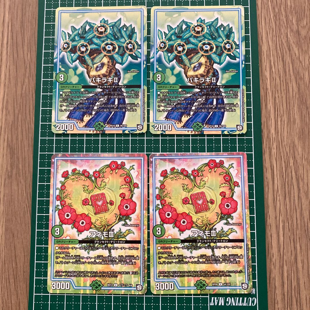 自然GRセット スカップ ウォルナ シャギー チュップ パキラキ アネモ